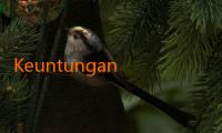 Keuntungan Menggunakan Spotbet: Fleksibilitas dan Kenyamanan!