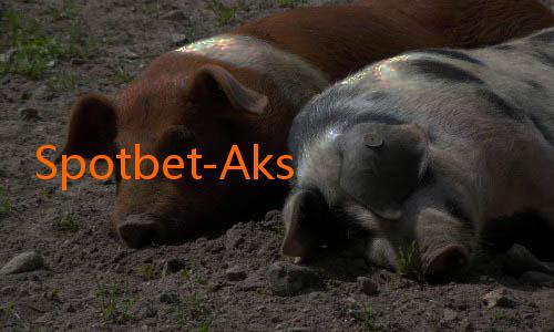 Spotbet-Aksi Spektakuler di Liga Inggris 2025: Gol Terbaik Musim Ini!