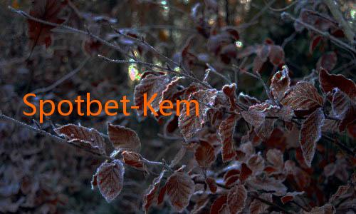 Spotbet-Kemudahan Melakukan Taruhan di Spotbet: Tiga Langkah Saja!